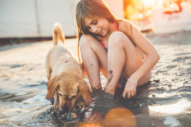 Girl with a small yellow dog playing with the sand in shallow water on the beach