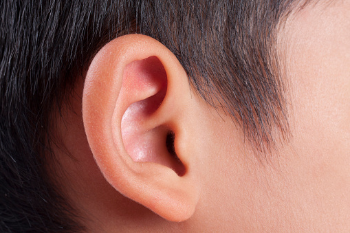 Closeup of the ear of a little boy.