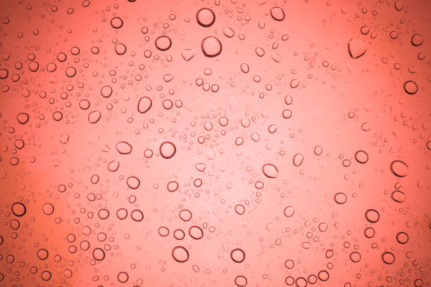 istock Rain droplets on red glass background, Water drops on glass. 808009660