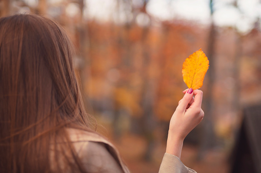 Rear view of a young unrecognizable woman holding a yellow leaf in her hand.