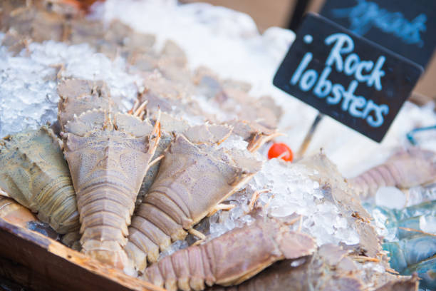 istock rock lobsters food ingredients for barbecue 808035336