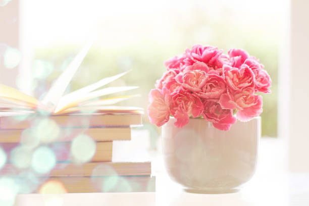 istock fresh pink carnation flower with books background 808045062