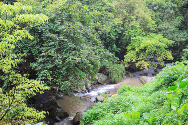 istock the little Hawaii trail at tko sai kung 808045084