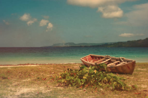 praia de composição artística playa rincon, samana, república dominicana - playa rincón - fotografias e filmes do acervo