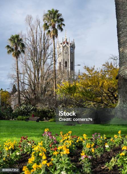 Albert Park With Auckland University Clock Tower New Zealand Nz Stock Photo - Download Image Now