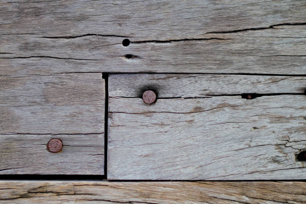 istock rusty old nail steel on old wood 808058648