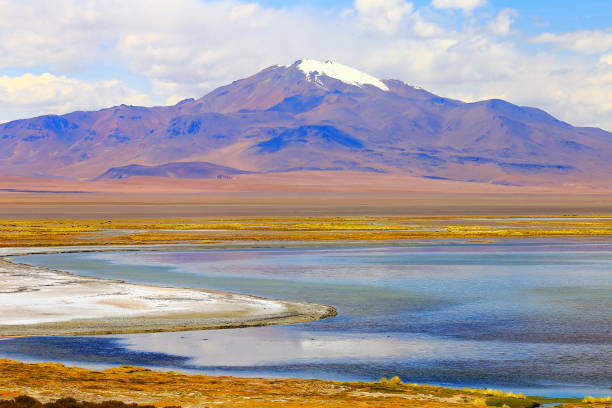 idilliaco salar de tara laguna blu, palude salata - vulcani e idilliaco altiplano del deserto di atacama, panorama del paesaggio vulcanico - confine di san pedro de atacama, cile, bolívia e argentina - swamp moody sky marsh standing water foto e immagini stock