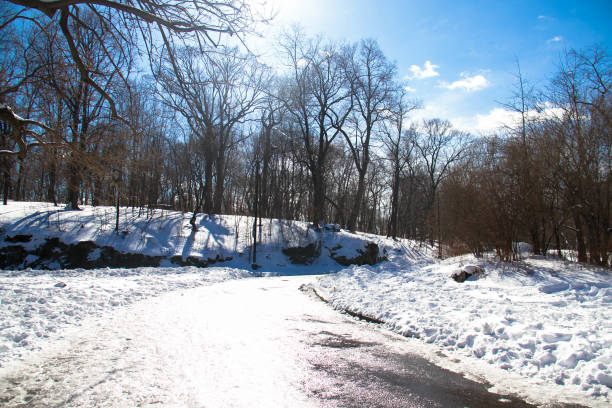 Trees, road in curve and snow with blue sky