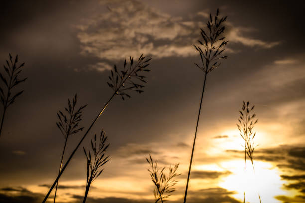 istock beautiful sunrise sunset sky for background . 808067974