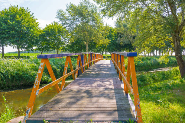 istock Canal in a rural landscape in summer 808089964