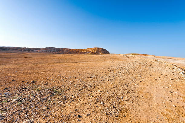 ネゲブ砂漠をイズラエル - 荒野 ストックフォトと画像