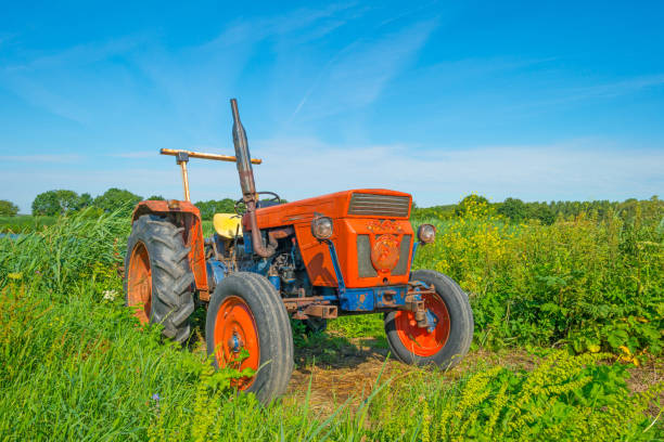 istock Derelict old tractor in a field in summer 808090158