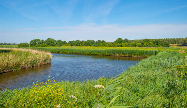 istock Canal in a rural landscape in summer 808090220