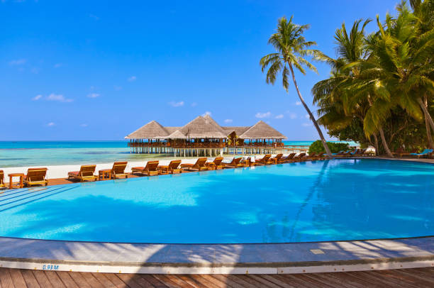 Pool and cafe on Maldives beach Pool and cafe on Maldives beach - nature vacation background water bungalow maldives stock pictures, royalty-free photos & images