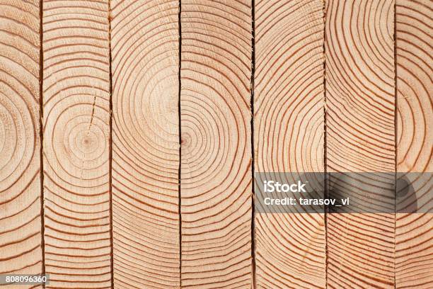 Holzbrett Stack Stockfoto und mehr Bilder von Bauholz - Bauholz, Naturwald, Tischlerarbeit