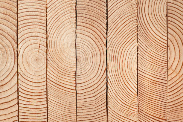 pila de tablón de madera - lumber industry lumberyard stack wood fotografías e imágenes de stock