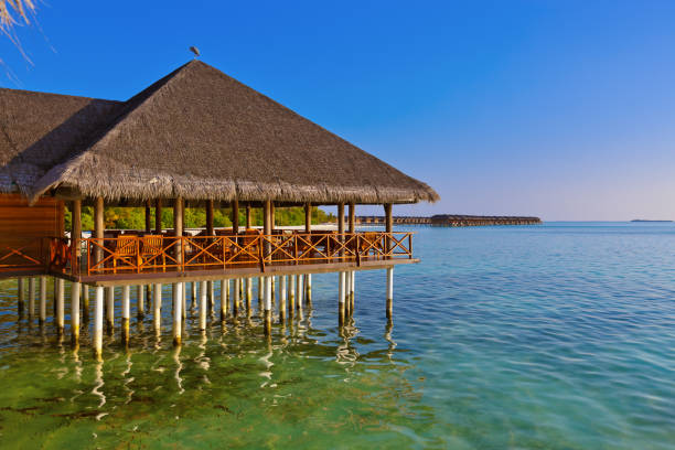 istock Cafe on tropical Maldives island 808101770