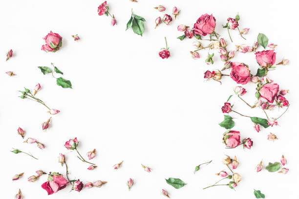 istock Frame made of dried rose flowers. Flat lay, top view 808105710