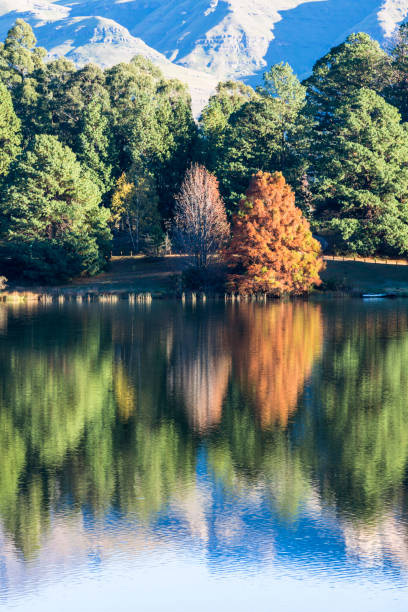 istock The start of autumn 808158168
