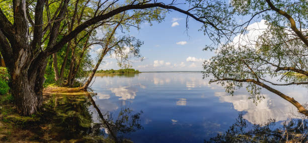istock Lake Seliger, Russia 808177144