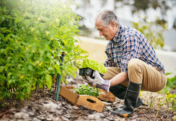 istock Retiring the green way 808193678