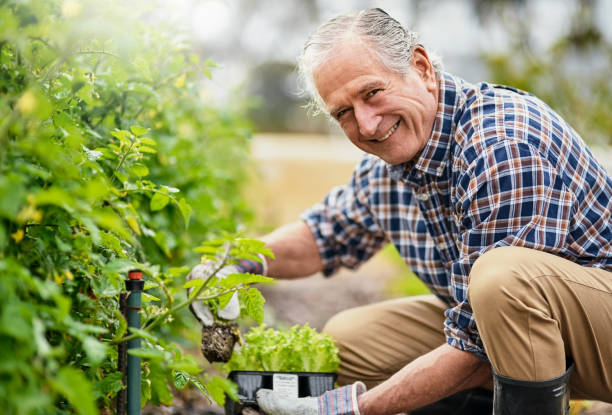istock Growing the life I love 808193680
