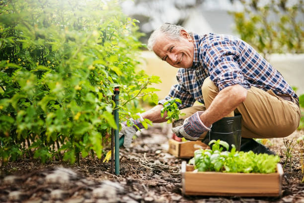 istock Keeping my retirement active and productive with gardening 808193740
