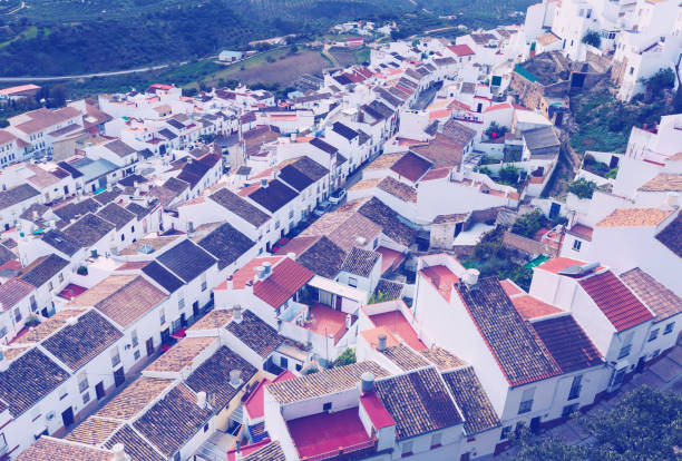 istock Roofs  of ordinary andalusian town.  Olvera 808206660
