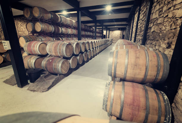istock barrels in contemporary winery 808206796