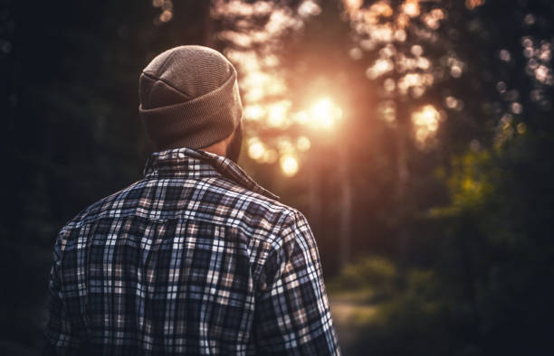 istock Traveler walking alone in the misty forest at sunset 808211328