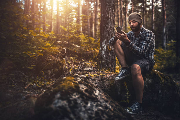 istock Traveler using smart phone sitting in the forest at sunset 808212094