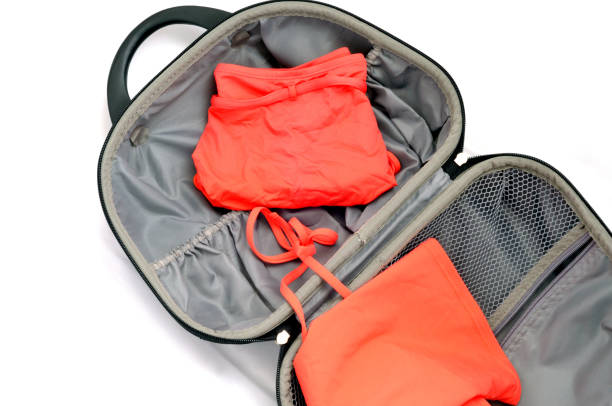 istock The Traveler's Suitcase 808212674