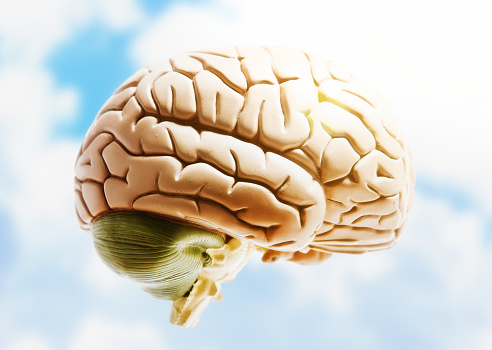 An anatomical model of the human brain floats in a lightly clouded sky, lit by the sun.