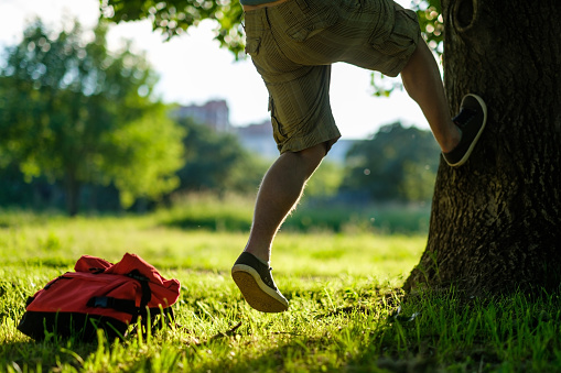 Young hipster man climbing on a tree in a park. Bag lying on green grass