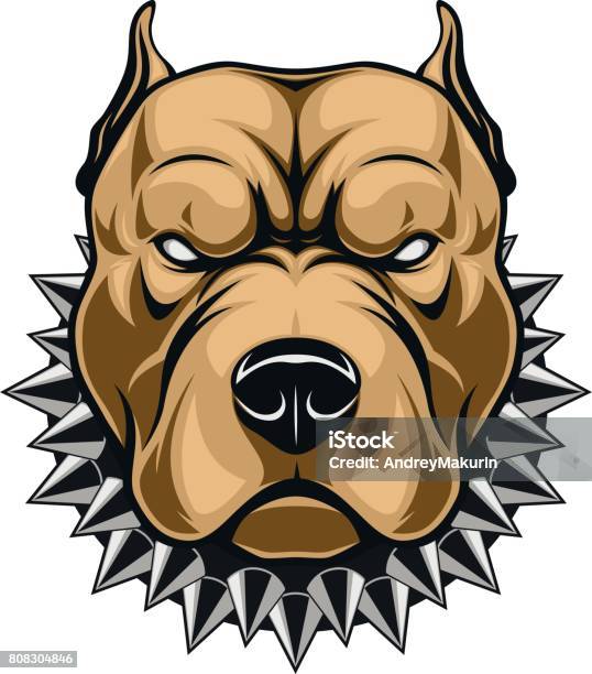 Angry Dog Head Stock Illustration - Download Image Now - Pit Bull Terrier,  Dog, Anger - iStock