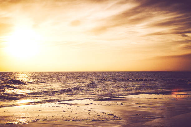 sea waves close up at sunrise