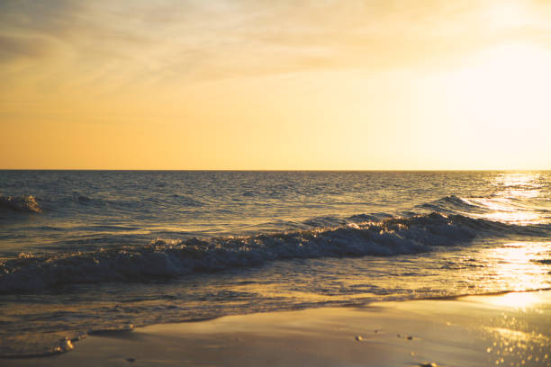 istock At the ocean in golden sunset 808363922