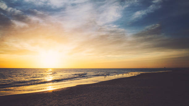 istock At the ocean in golden sunset 808365072