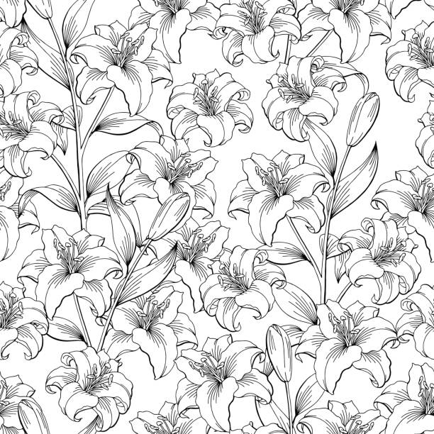 Lily Flower Graphic Black White Seamless Pattern Sketch