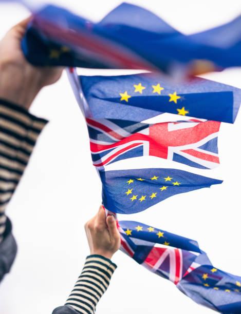 istock Brexit campaigner - UK and European Union flags 808400490