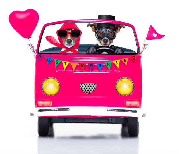 istock gay pride couple  marriage 808409554