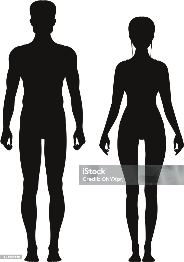 Silhouette von sportlich männlich und weiblich stehend Vorderansicht. Vektor-Anatomie-Modelle - Lizenzfrei Weibliche Person Vektorgrafik