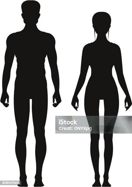 Silhouette Of Sporty Male And Female Standing Front View Vector Anatomy Models Stock Illustration - Download Image Now