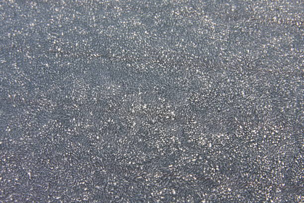 istock Close up of frost on grass. 808410780