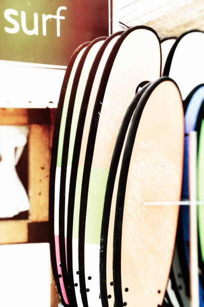 selective focus runs through the front edge of the fin and falls off quickly.