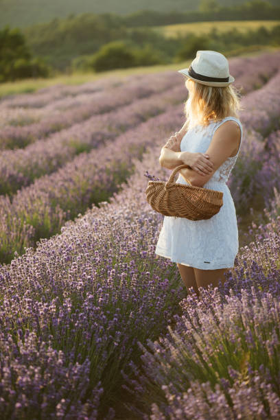 istock Young woman standing at lavender field 808470062