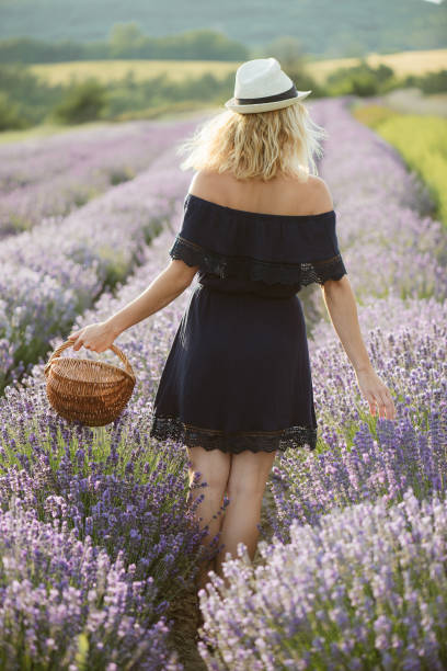istock Young woman standing at lavender field 808470334