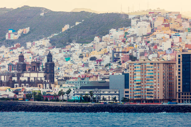 istock Panorama of Las Palmas with the Cathedral 808503252