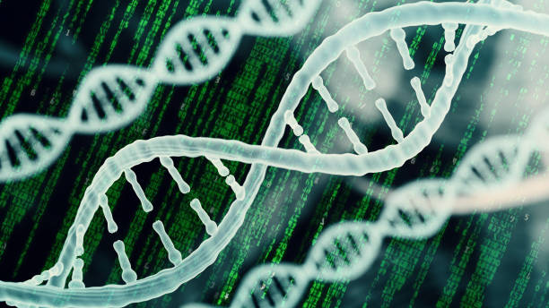 istock Biotechnology bioinformatics concept of DNA and protein 808511278