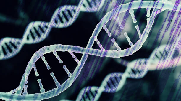 istock Biotechnology bioinformatics concept of DNA and protein 808511326